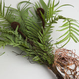 FAUX FERNS WITH EXPOSED ROOTS 3 STYLES