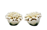 WHITE DAISY SALT AND PEPPER