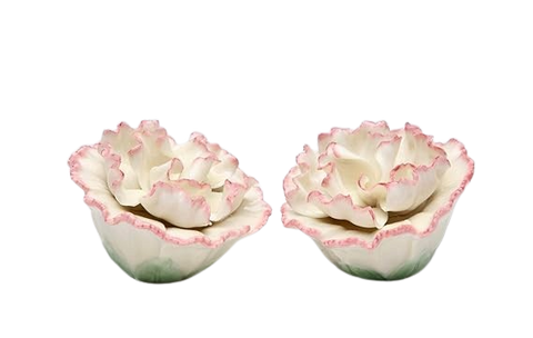 CARNATION SALT AND PEPPER