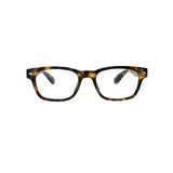 READING GLASSES CLARK FOCUS TORTOISE +0.00