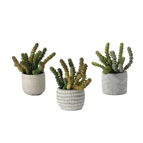 POTTED CACTUS