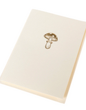 MUSHROOM BOXED CARDS