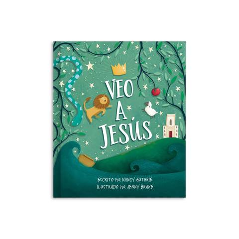 LIBRO VEO A JESÚS