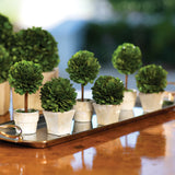 Boxwood Topiary