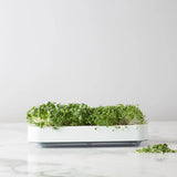 MICROGREEN GROWER KIT