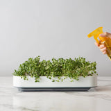 MICROGREEN GROWER KIT