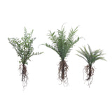 FAUX FERNS WITH EXPOSED ROOTS 3 STYLES