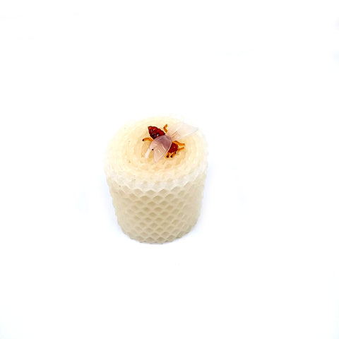 BEESWAX VOTIVE CRATE WHITE