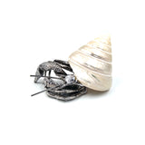 POLISHED PEWTER CRAB
