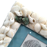 SEA SHELL PHOTO FRAME