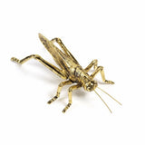 GOLD GRASSHOPPER